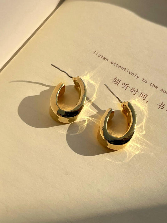 Bold Aesthetic Hoop Earrings