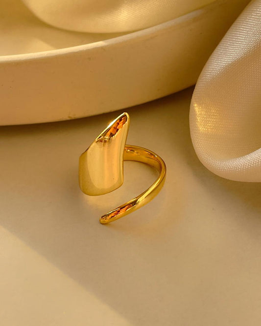 Anchor Ring